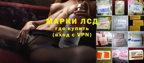 крисы Верхний Тагил