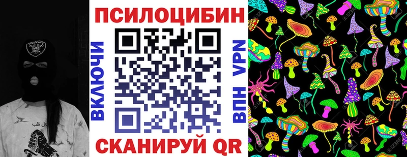 Псилоцибиновые грибы Psilocybine cubensis  Купить где  Славск 